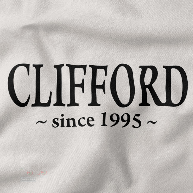5 Seconds of Summer Michael Clifford 1995 graphic hoodie