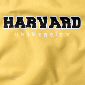 Vintage Harvard merch hoodie in varsity campus style