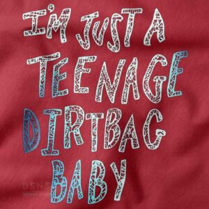 Teenage Dirtbag Wheatus graphic t-shirt pop punk style