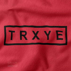 Troye Sivan TRXYE inspired graphic t-shirt streetwear