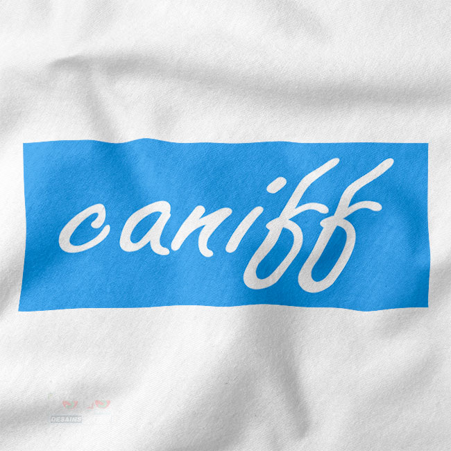 taylor caniff merch t-shirt dress