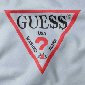Madison Beer inspired Guess American hoodie streetwear