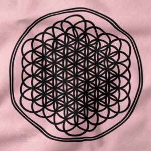 Sempiternal Bring Me The Horizon graphic t-shirt