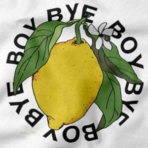 bye boy lemonade hoodie pop culture streetwear