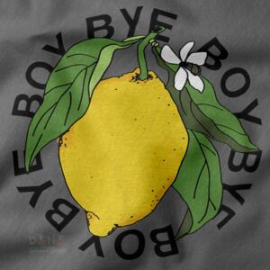 bye boy lemonade sweatshirt pop culture streetwear