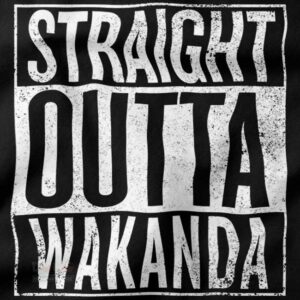 Wakanda Forever inspired streetwear hoodie