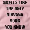 Smells Like The Only Nirvana Song You Know