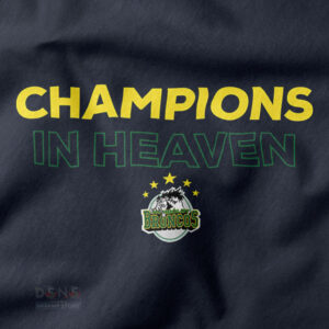 Inspirational Humboldt Broncos remembrance shirt