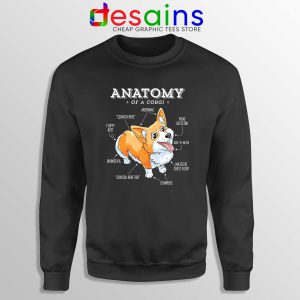 Corgi pullover 2025
