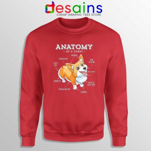 Anatomy of a Corgi Red Sweatshirt Pembroke Welsh Corgi Funny