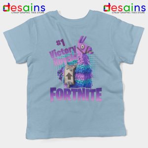 Fortnite Victory Royale Sky Blue Kids Tshirt Victory Royale Meme Youth Tee Shirts