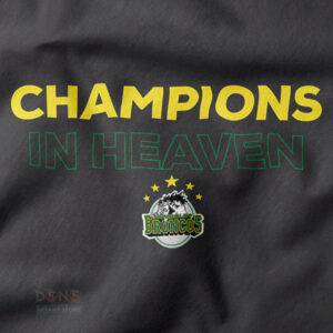 Affordable Pray For Humboldt Broncos graphic hoodie